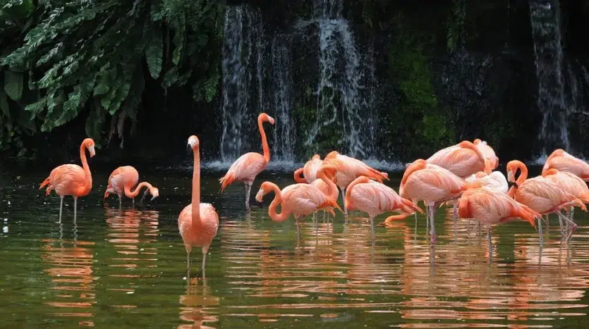 jardín botánico cercano a la comunidad de crescent ridge